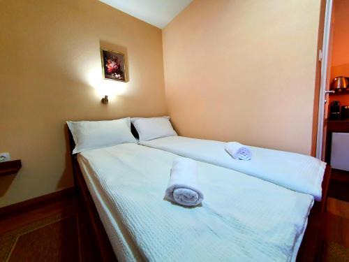 Lupeni Bed & Breakfast | Virág Panzió