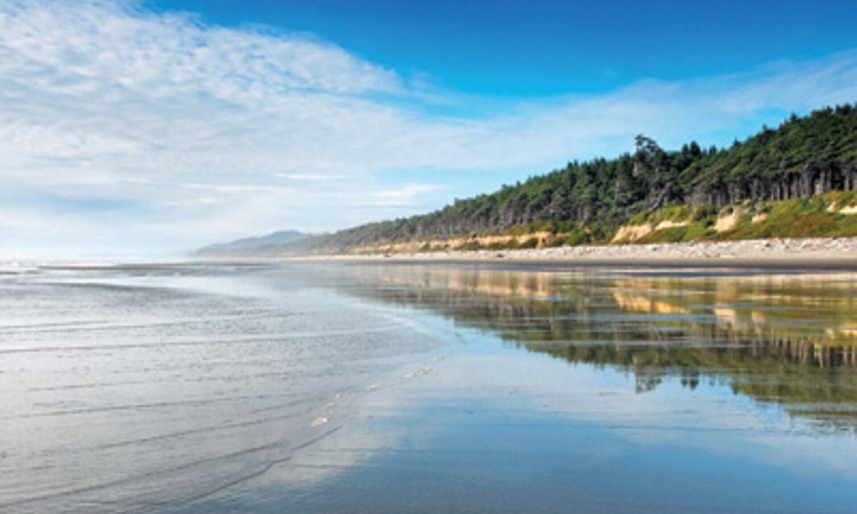 Ocean Park Resort | Visit the beautiful Leadbetter Point State Park & Wildlife Refuge!