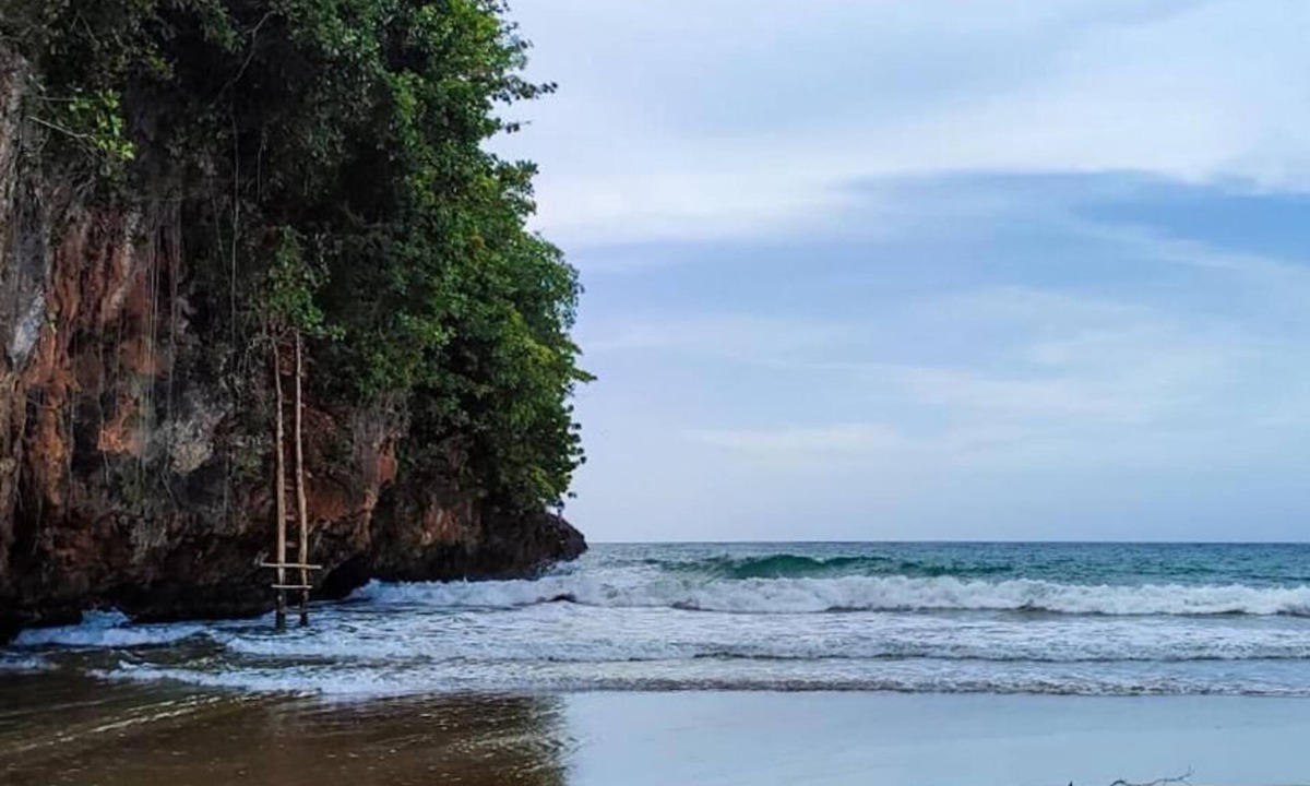 Samana Hotel | VIVE EL VALLE Hotel