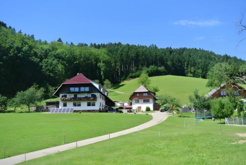 Hausach Apartment | Vordersbergerhof
