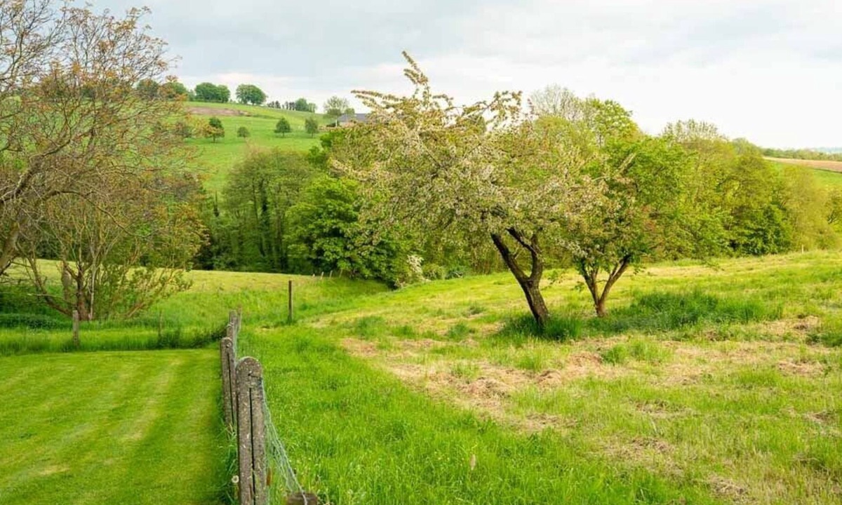 Dalhem House | Vrbo Property