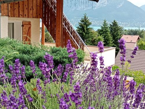 Cessenaz Ski Chalet | VUE LAC LODGES
