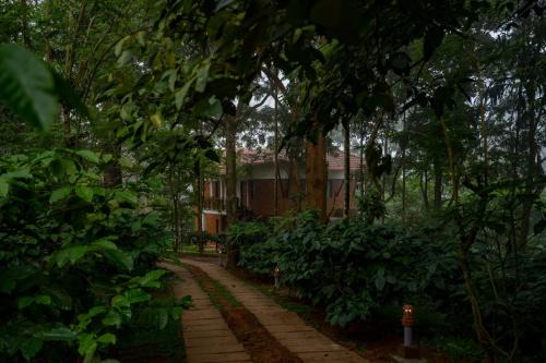 Kunnathidavaka Resort | Vythiri Mist Resort