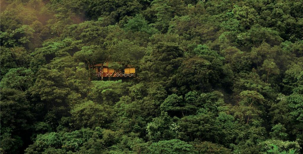 Kunnathidavaka Resort | Vythiri Resort