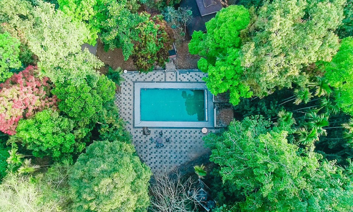 Kunnathidavaka Hotel | Vythiri Wild Forest Resort