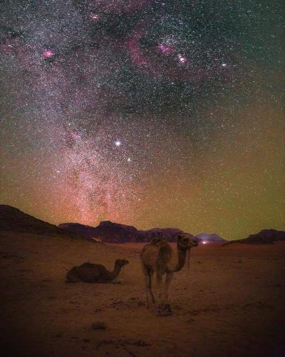 Wadi Rum Other | Wadi Rum Hiking &camp