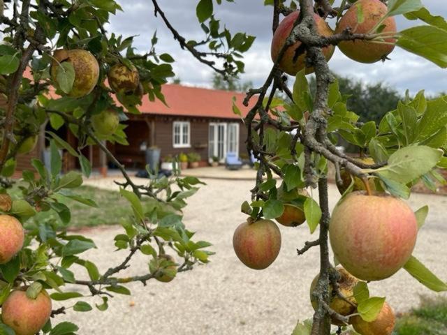 Halstead Apartment | Walnut Tree Cottage Barn