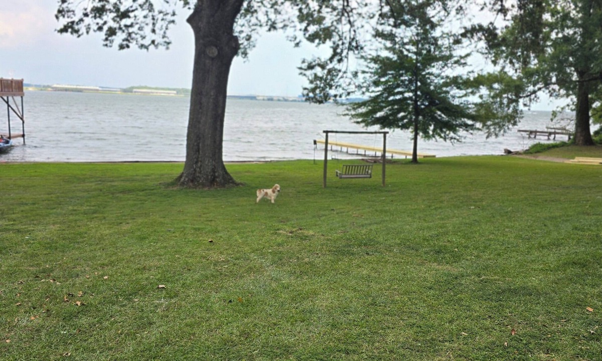 Hillsboro House | “Waterfront Getaway on Wheeler Lake – Private Dock & Boat Ramp”