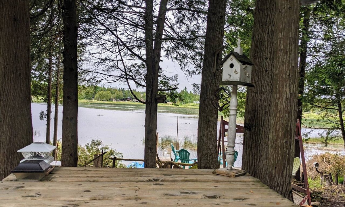 Colpoys Bay Cottage | Waterfront Green Cottage Pike Bay