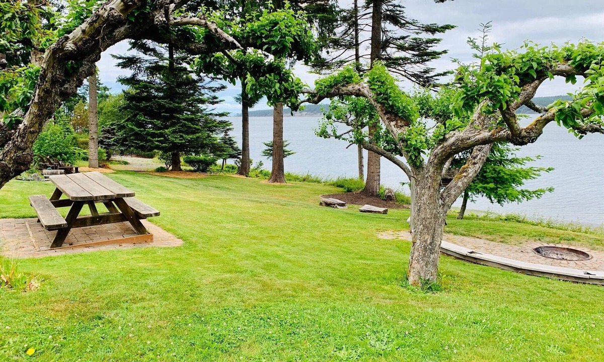 Sequim Apartment | Waterfront Property close to Discovery bike trail