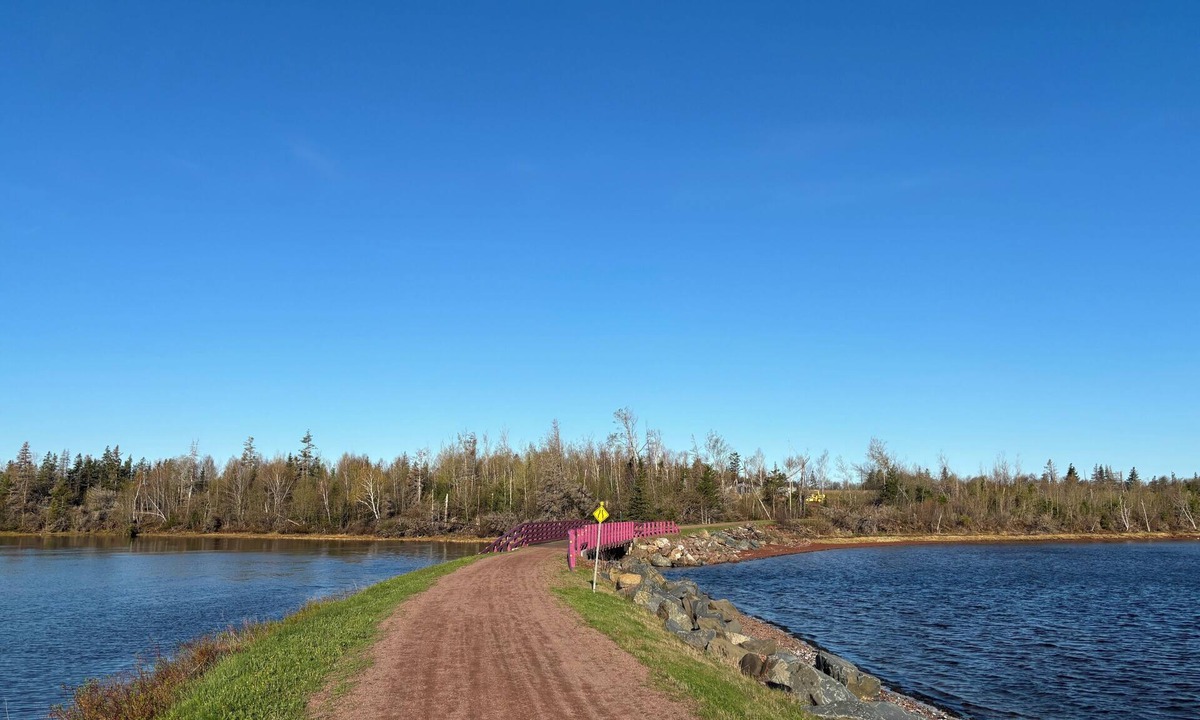 Naufrage House | Waterfront St. Peters Bay retreat, 5 Minutes to the spa! New and cozy!
