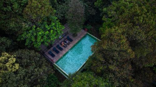 Kunnathidavaka Resort | Wayanad Wild - A CGH Earth Experience