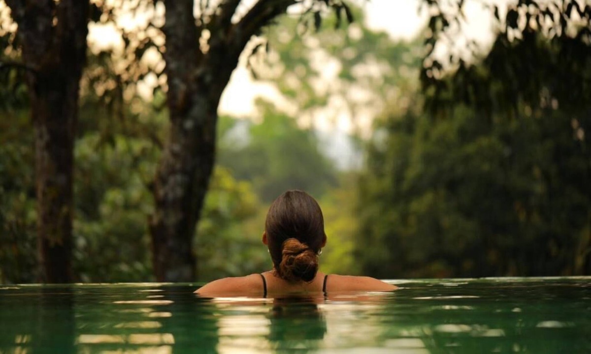 Kunnathidavaka Hotel | Wayanad Wild Rainforest lodge by CGH Earth