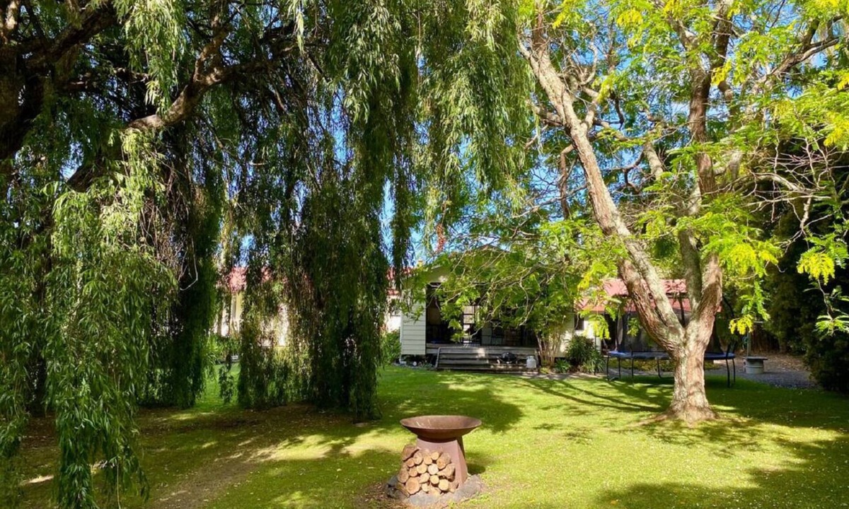 Matakana House | Weeping Willow