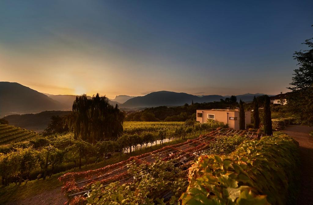 St. Pauls Apartment | Weingut Stuck