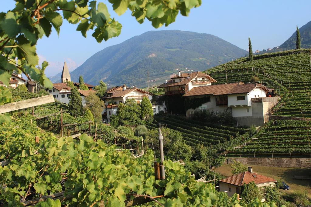 Centro - Piani - Rencio Apartment | Weingut Eberlehof