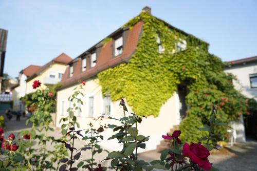 Erlabrunn House | Weingut Martin Blaß
