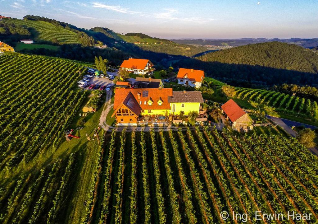 Fresing House | Weingut Reiterer