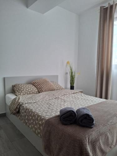 Vitan Apartment | WeRent Communities