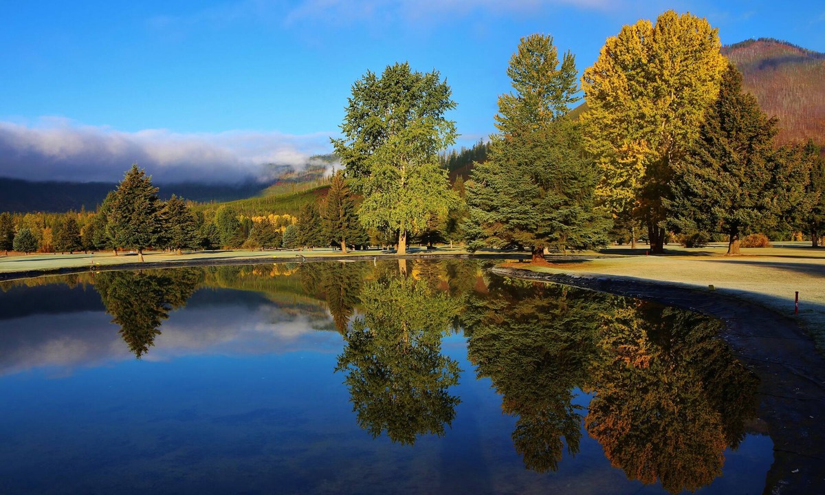West Glacier Cabin | West Glacier Cabin on Golf Course/1 Mile to GNP/Deck. Firepit. BBQ. AC