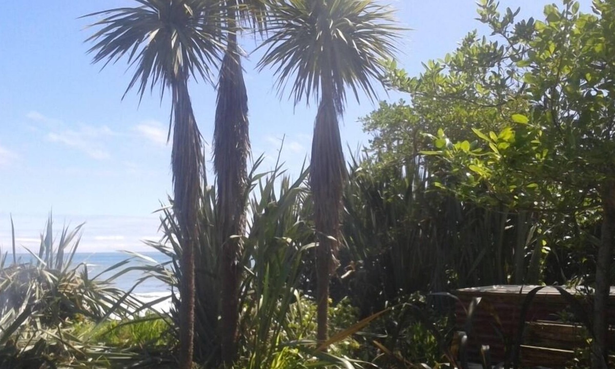 Hector House | Westcoast Blue Penguin Bach - Classic NZ Coastal Kiwi Bach