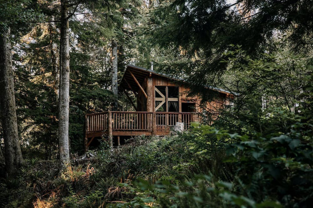 Forks Cabin | Wheelchair Accessible Log Cabin near Lake Crescent in Forks, Washington, Perfect for a Weekend of Relaxation