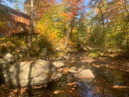 Grafton House | Whispering Woods Cabin - Creekside & Pet Friendly
