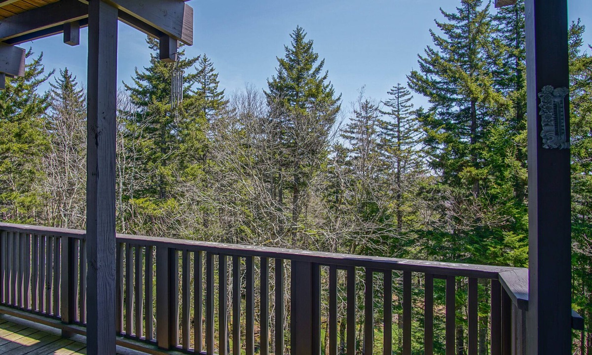 Edray Condo | Whistlepunk #11: 2 Bedroom, 2 Bath: Wood fireplace.Central Location.