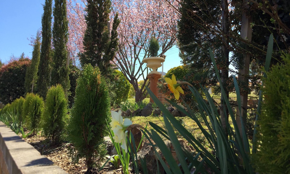 Armidale Hotel | White Lanterns Motel