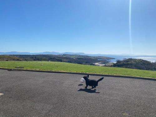 Killybegs Apartment | Wild Atlantic Way Beach Cove View Ballyara