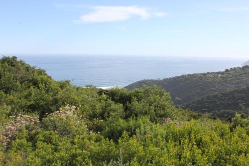 Wilderness House | WILDERNESS SEASIDE ESCAPE