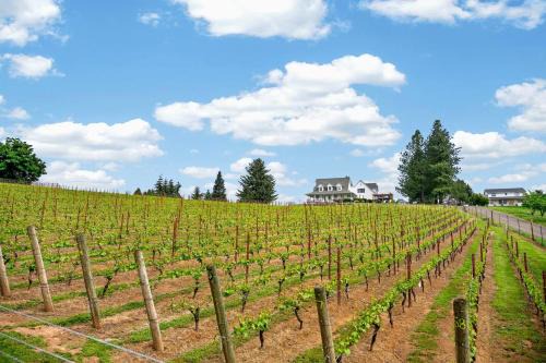 Alpine House | Willamette Wine Country Vineyard Escape