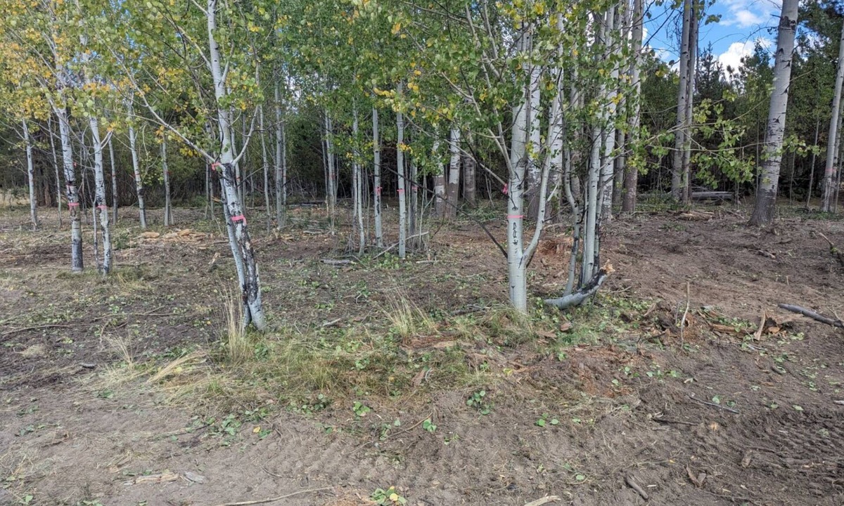 Klamath County House | Williamson River RanchnHomestead House