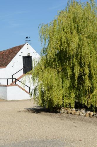 King's Lynn Bed & Breakfast | Willow Tree Farm