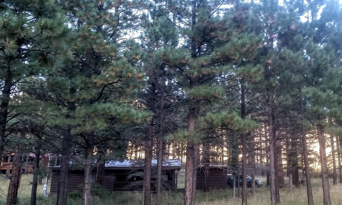 Greer Cabin | Windes' East Fork Retreat: Private, By the river, Bird Watching, Weekly Rate