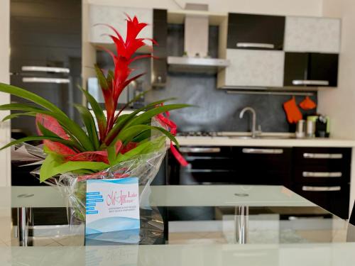 Camignone di Passirano Apartment | WINE & LaKE 1