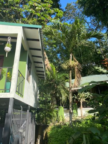 Puerto Carrillo Bed & Breakfast | Wisdom BnB