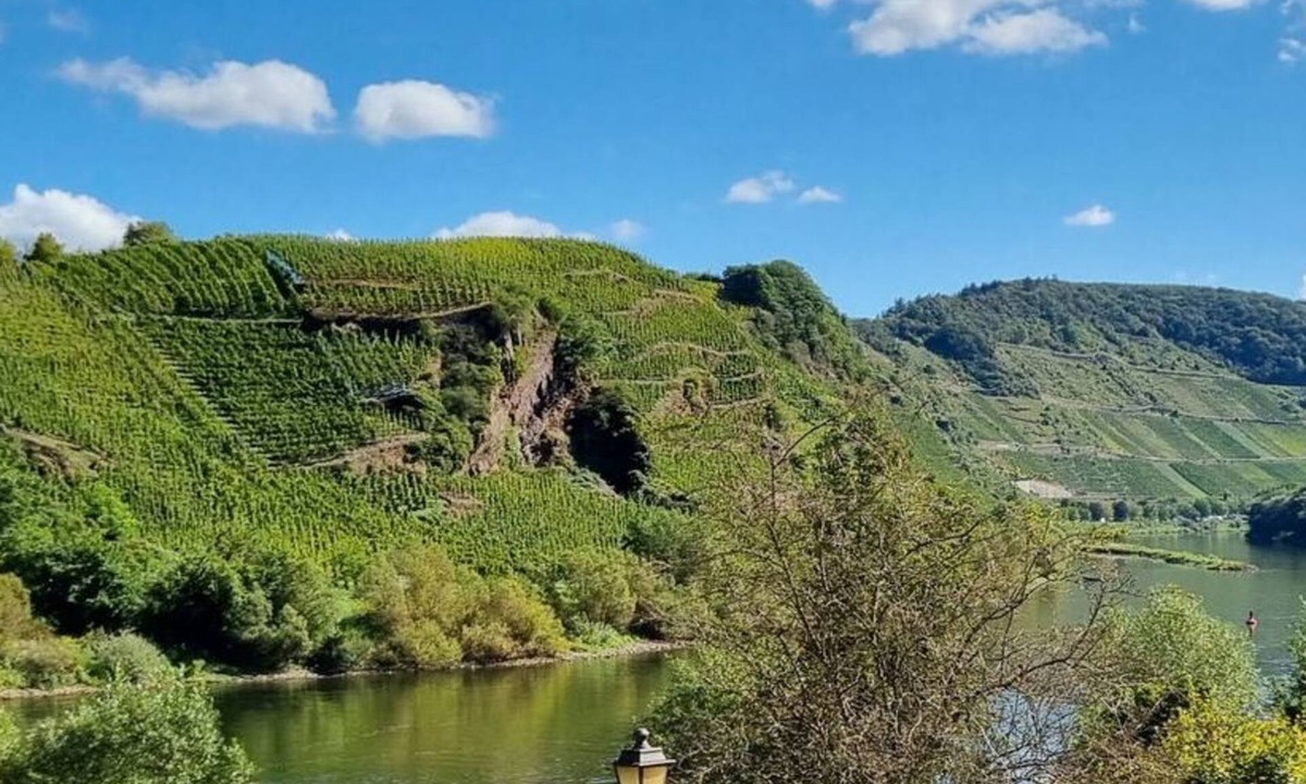 Bremm Apartment | Wohnung 3: Historisches Mosel-refugium - Altes Winzerhaus am Calmont