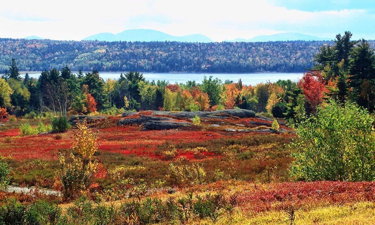 Franklin House | Wolfe's Way Priv. Beach, Waterfront recreation, Swim & Acadia!