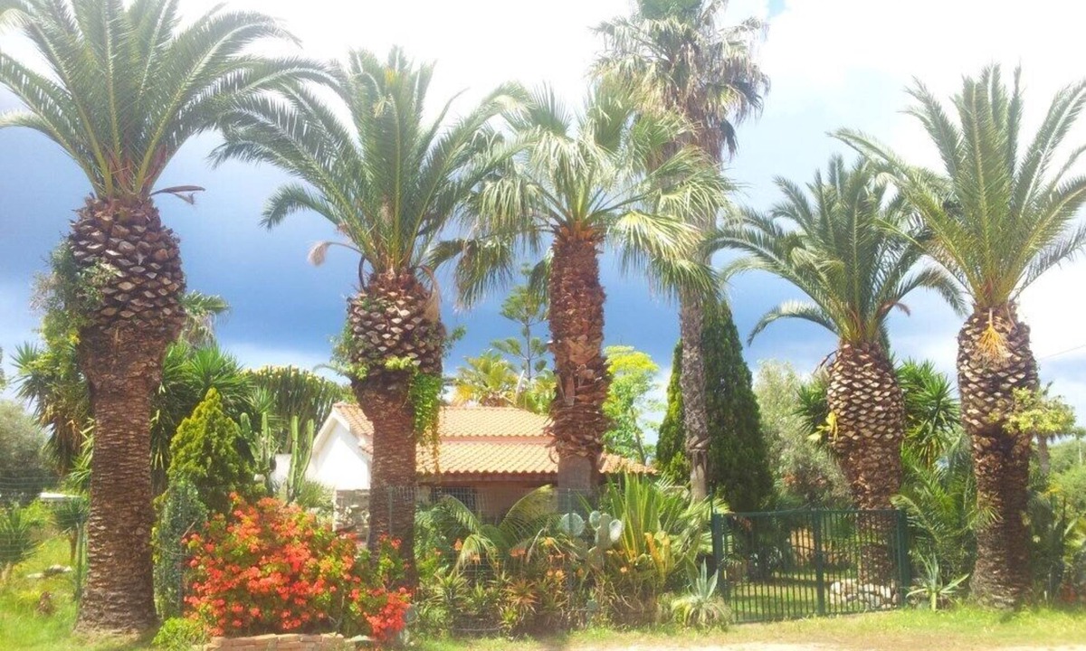Ricadi Villa | Wonderful Villa surrounded by lush greenery - Beach close peaceful location
