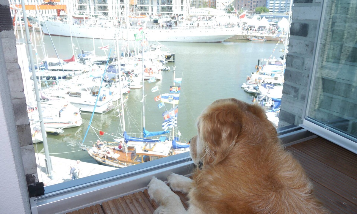 Mitte-Sud Apartment | Wonderful views, wonderful and direct waterfront location in the middle of the Havenwelten!
