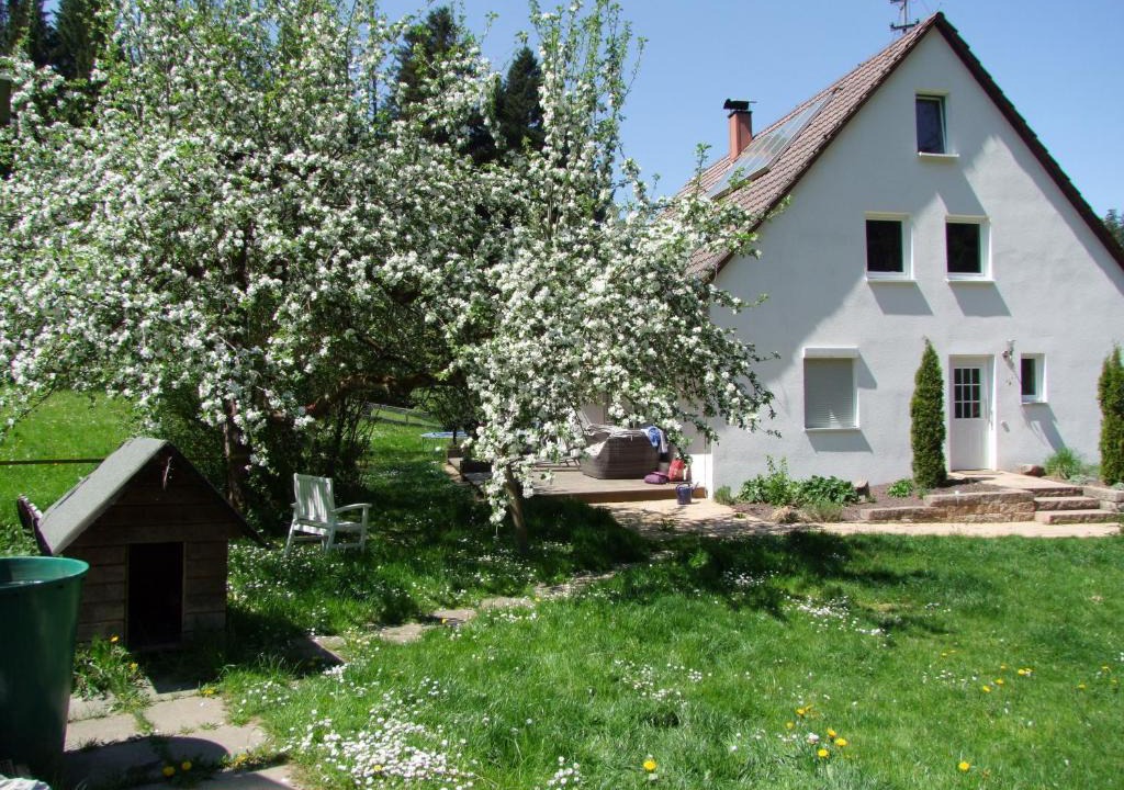 Schwaebisch Gmuend Apartment | Wonderworld