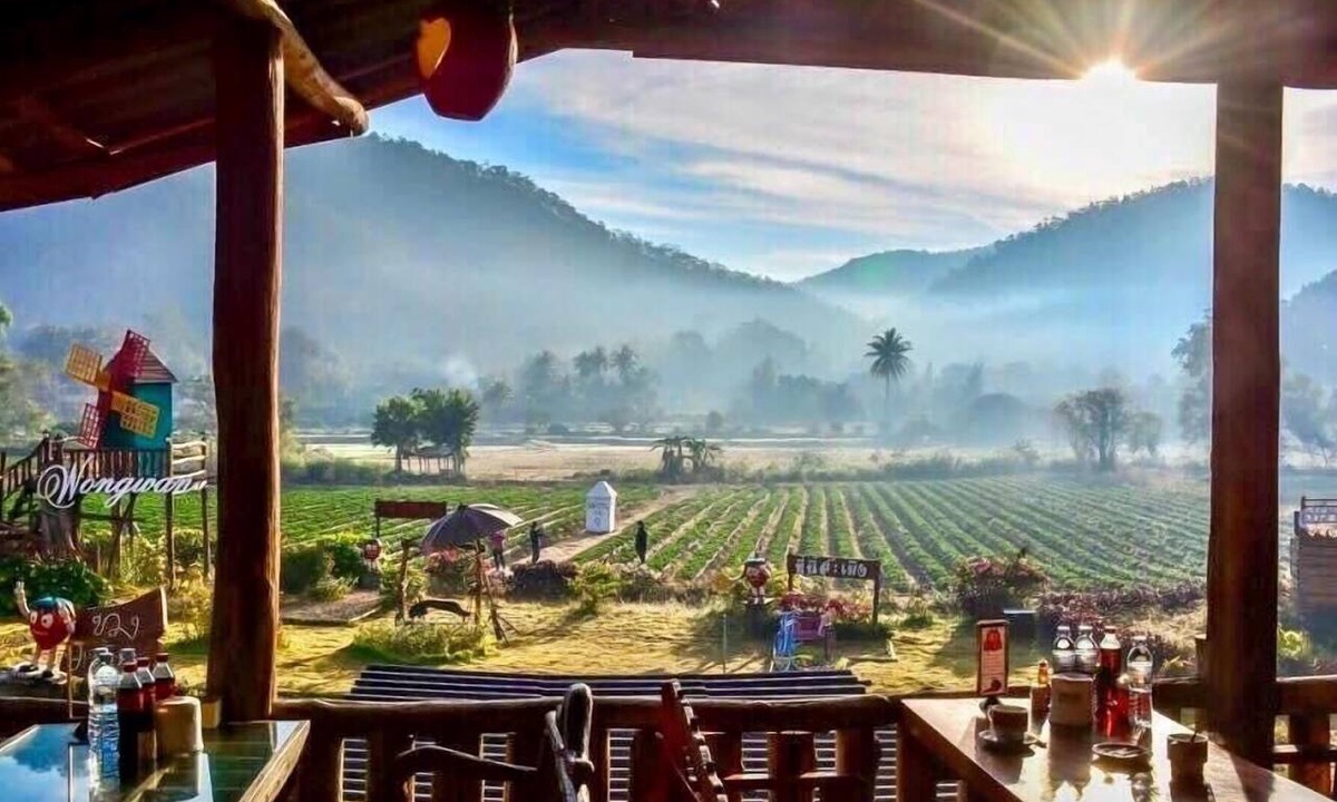 Samoeng Hotel | Wongwan Farm