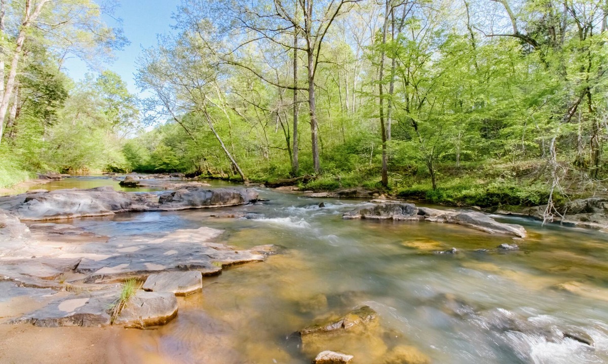 Madison Heights House | Woods & Water to Explore just 20 mins to Liberty Univ - 10 to Downtown Lynchburg