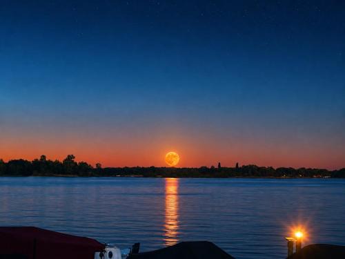 Oud-Loosdrecht Boat Rental | woonboot de dobber loosdrechtse plassen 4-8 personen