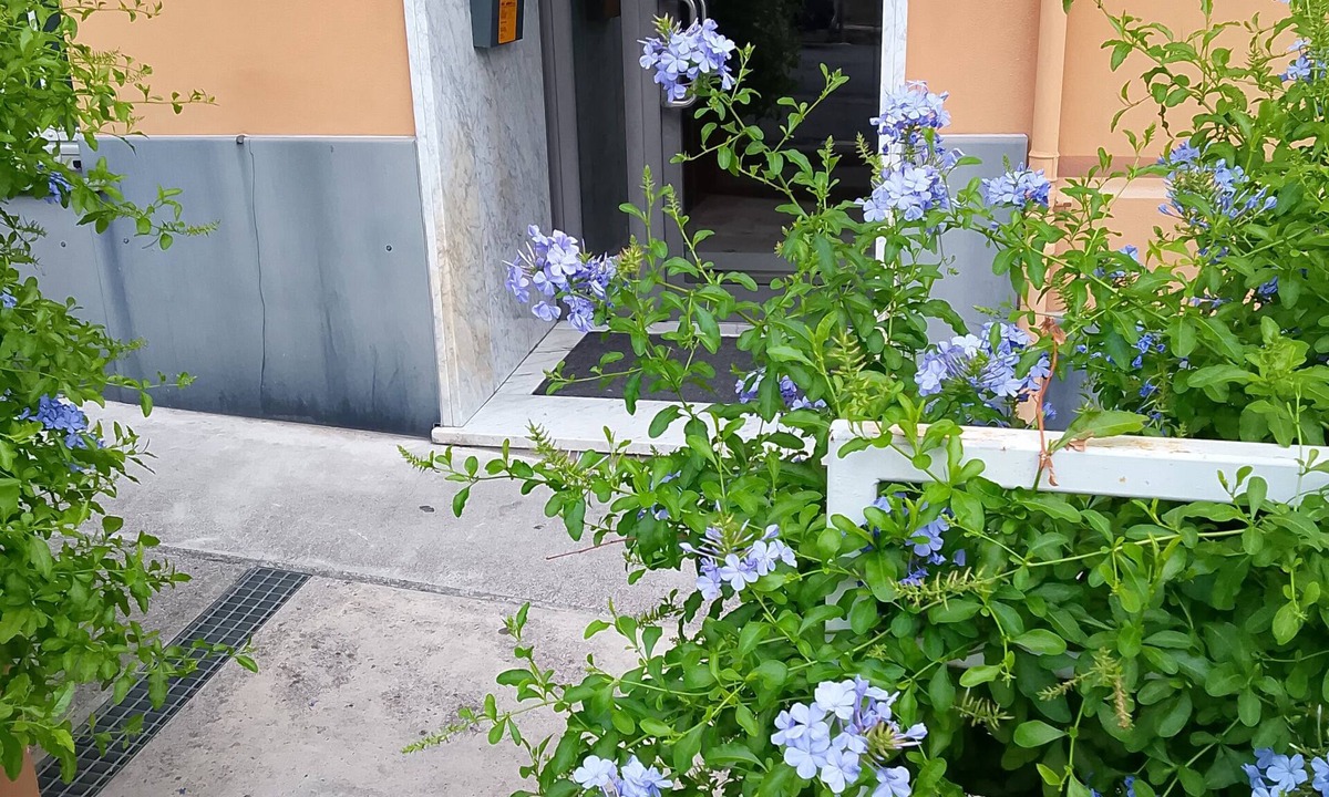 Pegli Apartment | Work Travel and More