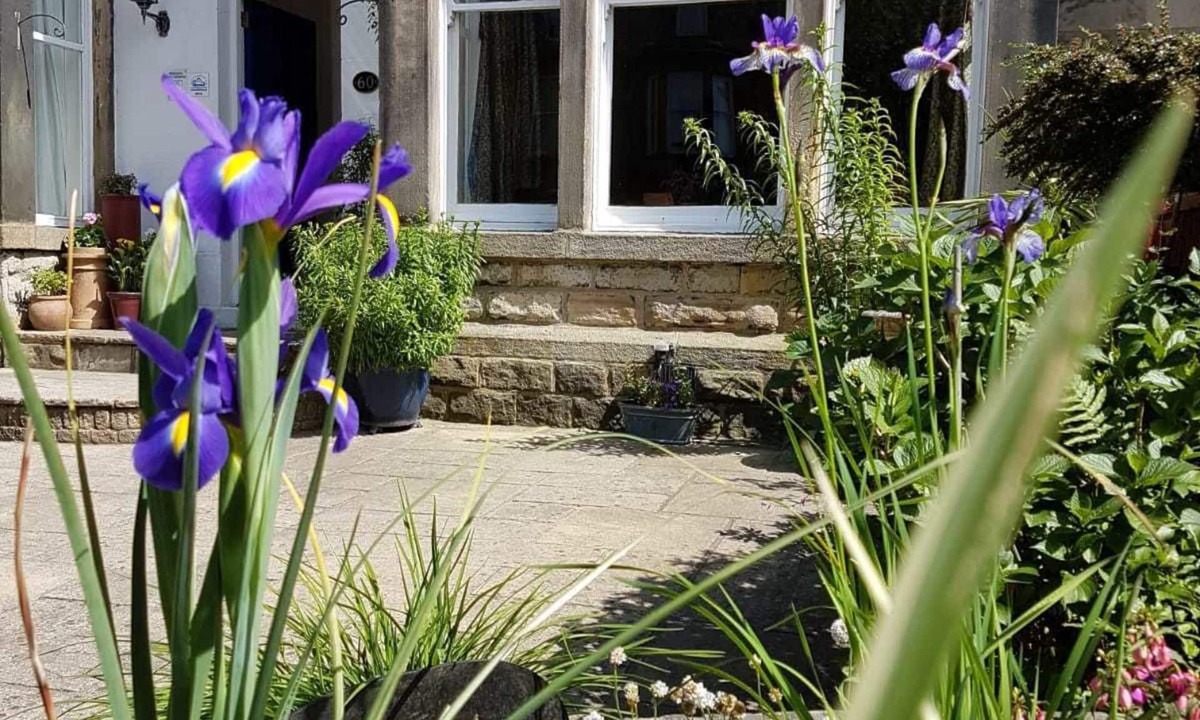 Harrogate House | Wynnstay House
