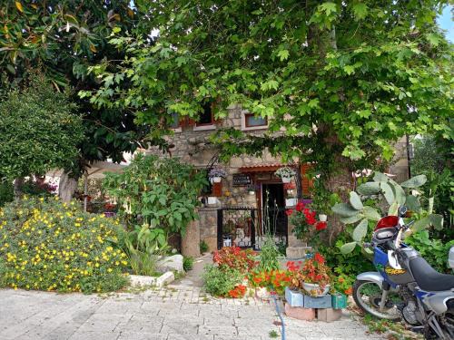 Ancient Side House | Yükser Pansiyon