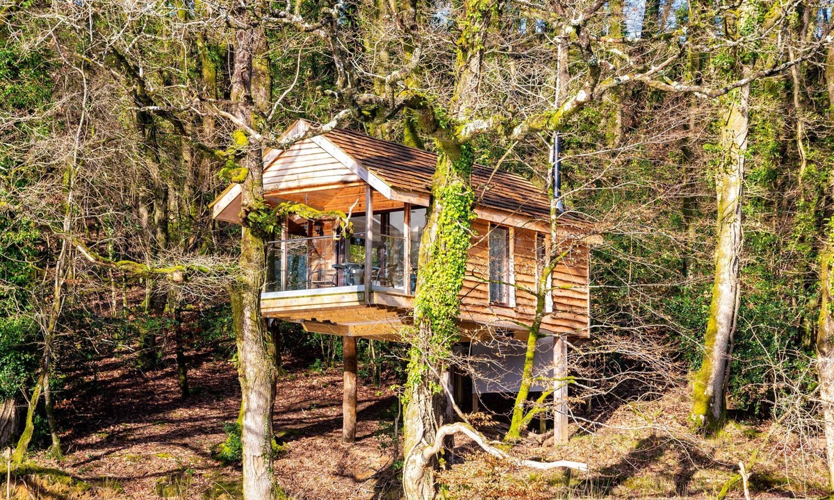 Beaworthy Ski Chalet | Yeworthy Eco-Treehouse