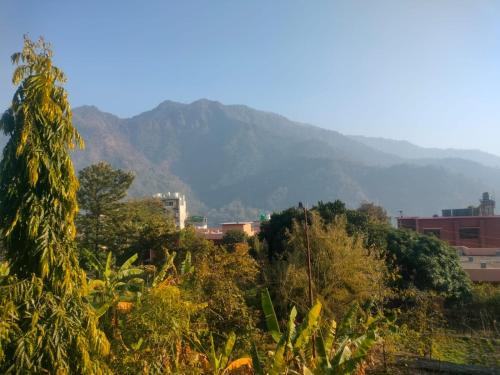 Tapovan Hotel | Yog Tapovan - Mountain View Rooms